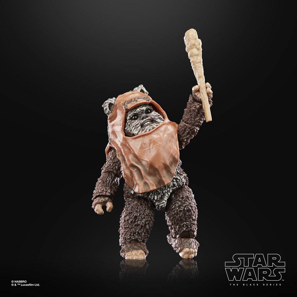star-wars-episode-vi-40th-anniversary-black-series-action-figure-wicket-15-cm-02.jpg