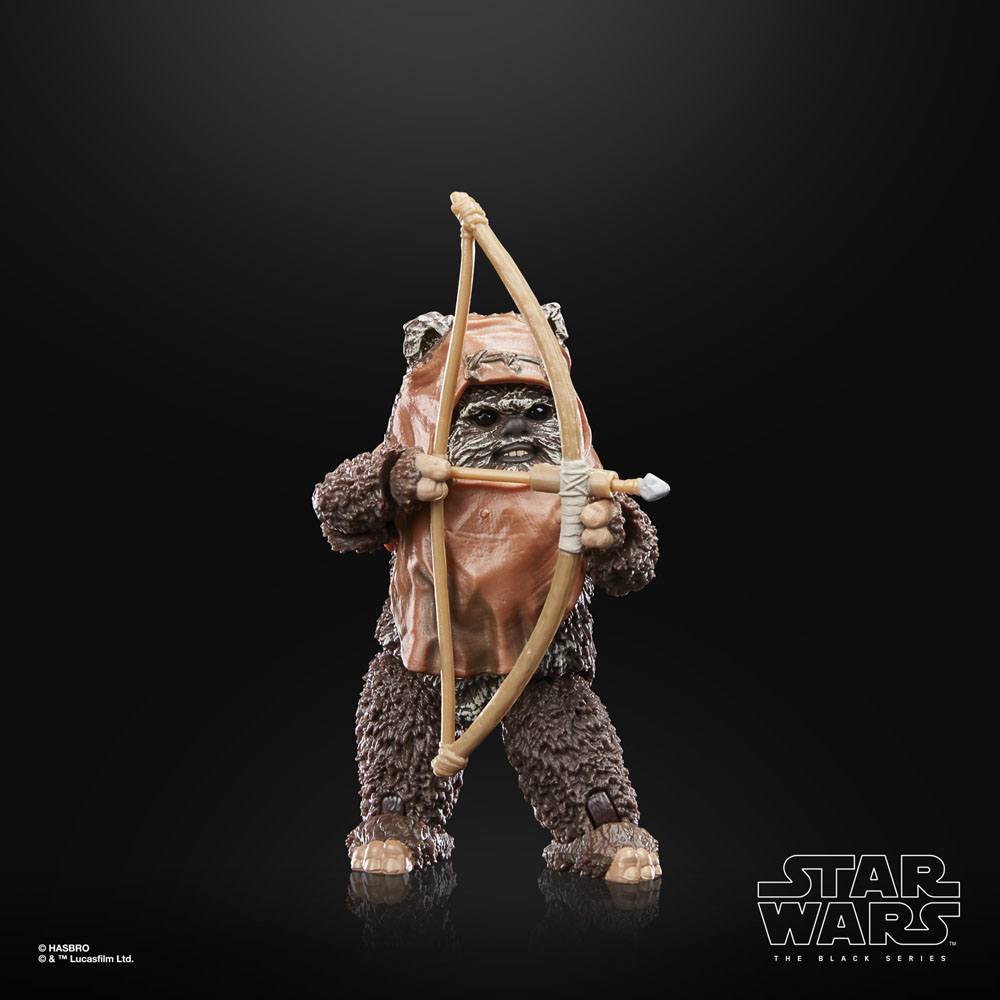 star-wars-episode-vi-40th-anniversary-black-series-action-figure-wicket-15-cm-04.jpg