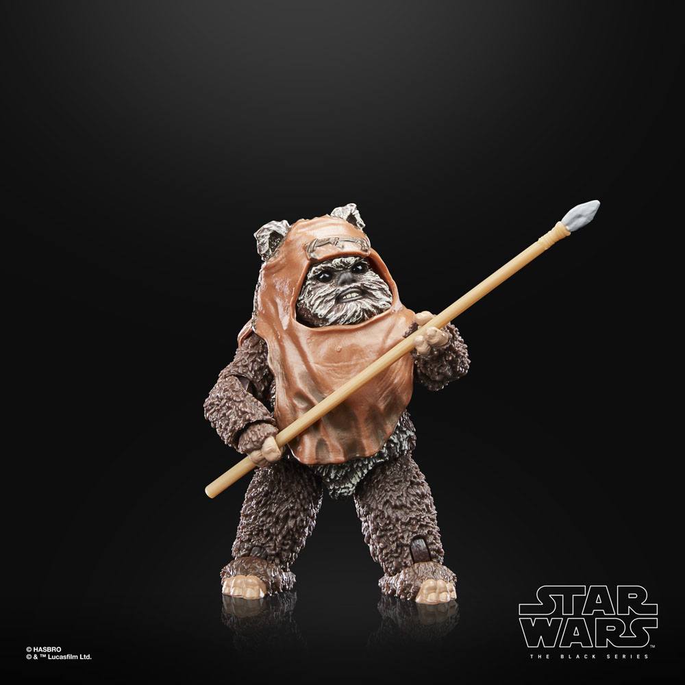 star-wars-episode-vi-40th-anniversary-black-series-action-figure-wicket-15-cm-05.jpg