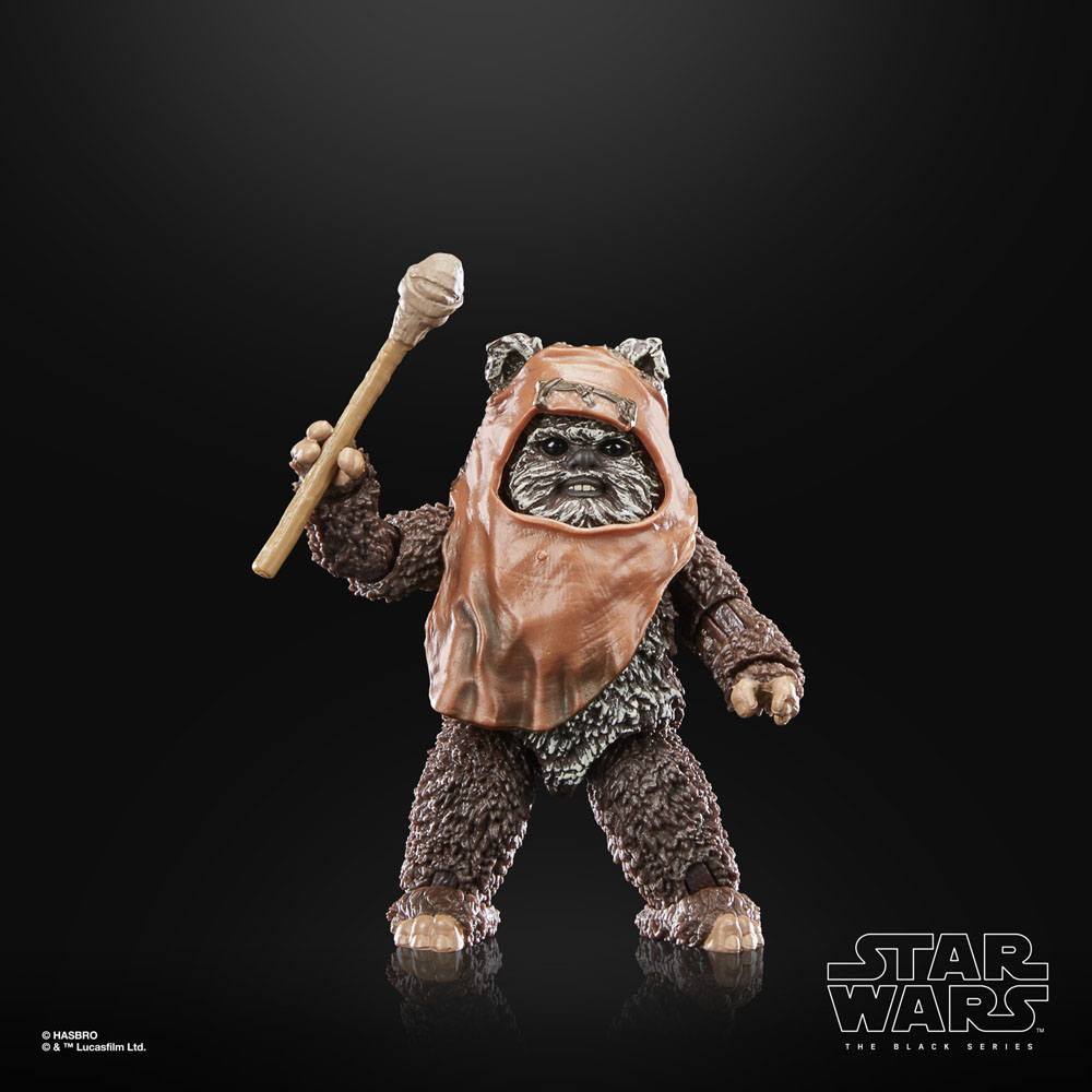 star-wars-episode-vi-40th-anniversary-black-series-action-figure-wicket-15-cm-07.jpg
