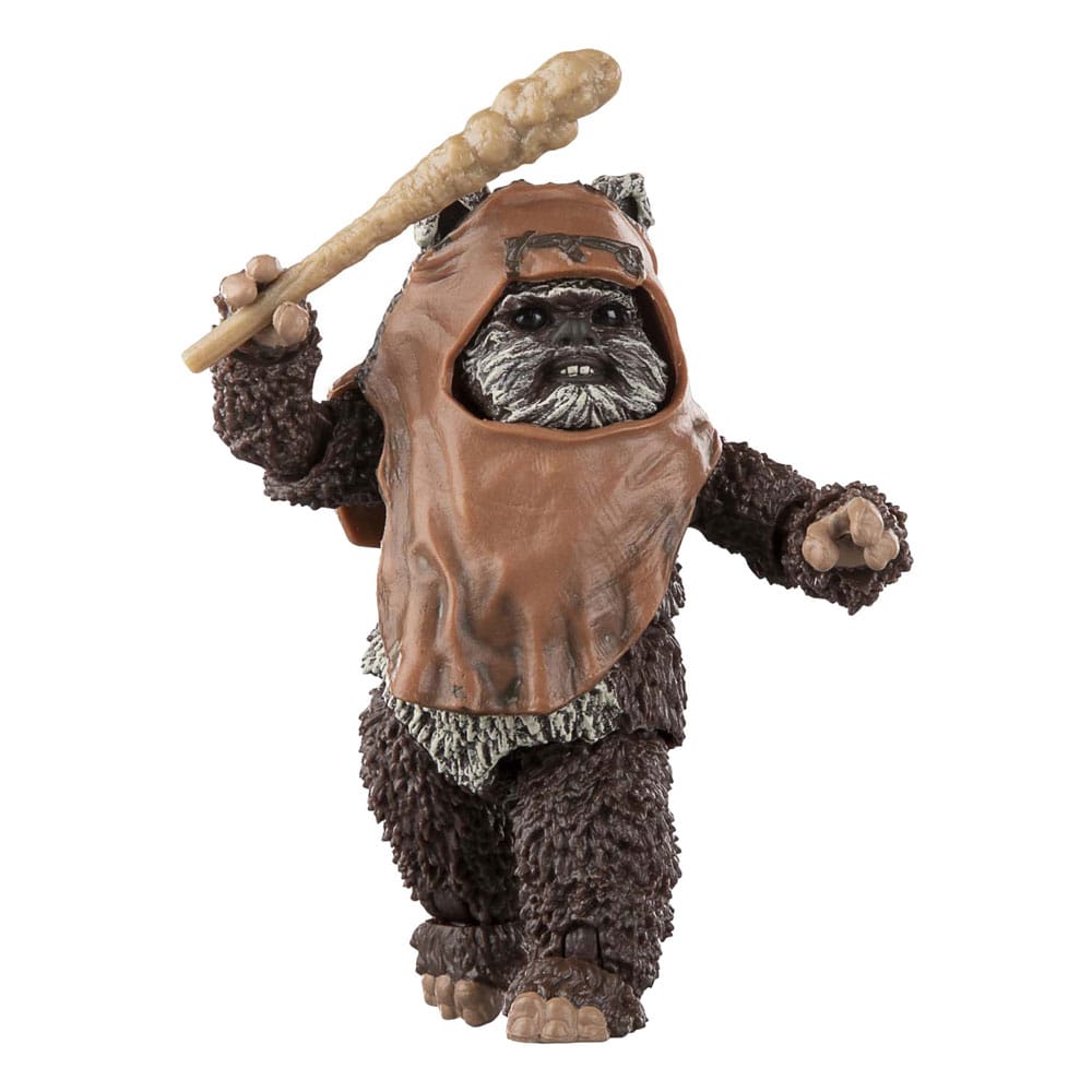star-wars-episode-vi-black-series-action-figure-wicket-15-cm-01.jpg