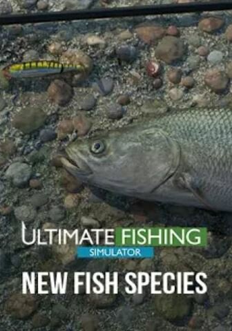 ultimate-fishing-simulator-new-fish-species-pc-klucz-steam-01.jpg